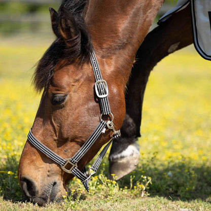 HORZE Adepto Adjustable Horse Halter | Soft, Durable Polyester - Dark Navy - Cob