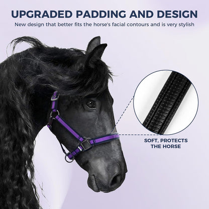 JWODVNTH Adjustable Horse Halter with PP Webbing, Durable Horse Halters with Zinc Alloy Hardware, Horses Training Equipment to Prevent Friction for Training, Competitions ＆ Daily