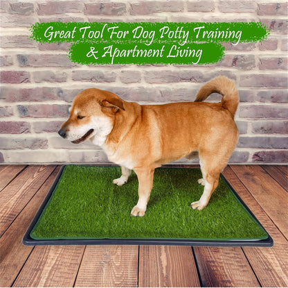 Dewonch Dog Artificial Grass Pad with Tray for Puppy Potty Training, Fake Turf Patch & Washable Pee Pad Pet Loo for Small and Medium Dogs, Indoor or Outdoor Use (Potty System 35.4” x 23.6”)