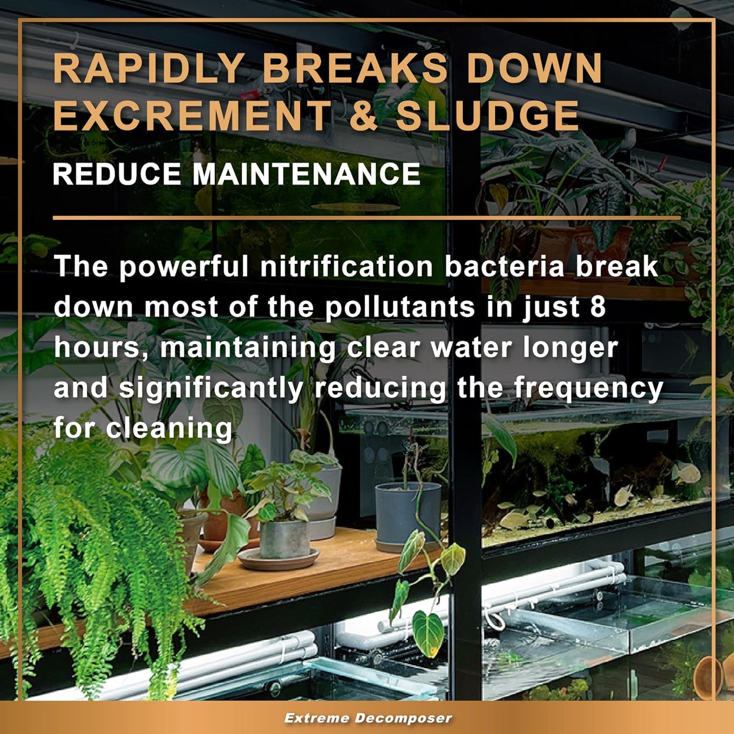 AZOOPLUS BIO XD Extreme Decomposer Nitrifying Bacteria for Freshwater and Saltwater Fish Tank 8.45 Ounces