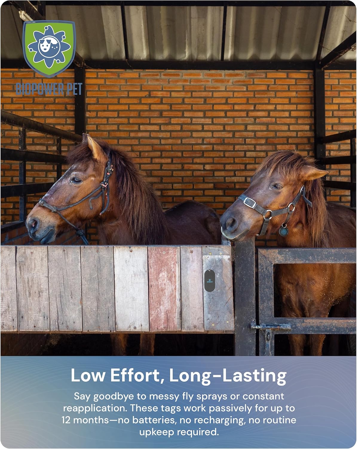 BioPower Natural Fly & Tick Repellent for Horses - Horse Shield and Stall Tags with 1-Year Bioresonance Protection – Chemical-Free, Waterproof Carbon Tag Clips to Halter – Holistic & Safe Pest Defense