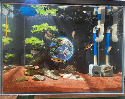 11lb Natural South American Rainforest Sand, Aquarium red Sand, Lava Rock Soil, Red Lava Rock Sand, Succulent Sand Fish Tank Sand Aquarium Substrate Sand