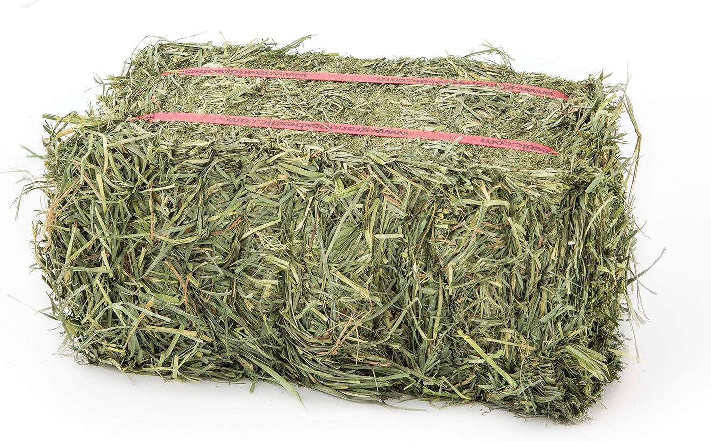 Grandpa's Best Orchard Grass Bale for Rabbits, Guinea Pigs, Chinchillas, Hamsters & Gerbils, 10 Lbs (Packaging may vary)