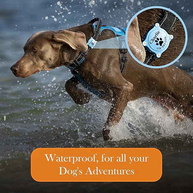 PAWBLEFY Personalized airtag Dog Collar Holder - Waterproof Ultra Durable Compatible with Apple air tag for Dogs & Cats - fits All Collar Width