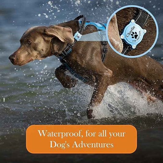 PAWBLEFY Personalized airtag Dog Collar Holder - Waterproof Ultra Durable Compatible with Apple air tag for Dogs & Cats - fits All Collar Width