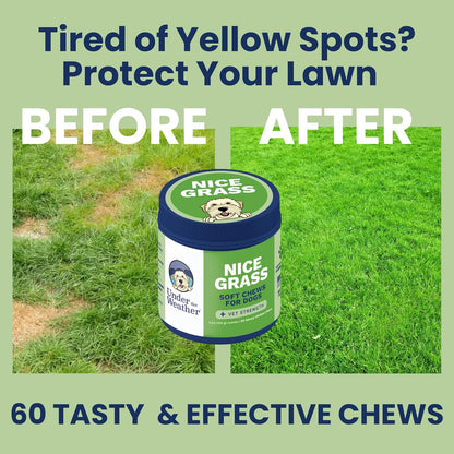 Under the Weather Nice Grass Chews for Dogs | Digestive Enzymes for Dogs | Canine Urine Neutralizer for Grass | Probiotics for Digestive Health | Vet Formulated Lawn Care Supplement | 60 Count