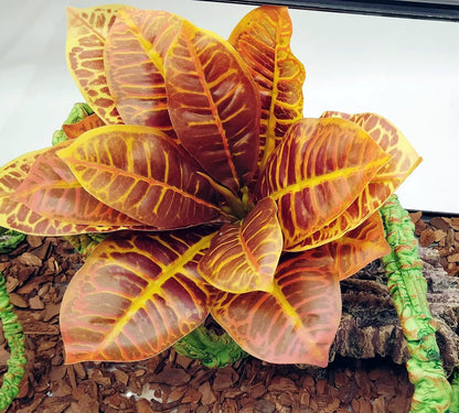 Reptile Plants Terrarium Reptile Tank Decorations for Bearded Dragon Lizard Snake Geckos Chameleon Amphibian Habitat Terrarium Decor (Gold)