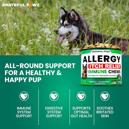 Dog Allergy Relief Chews - Dog Itching Skin Relief Treatment - 170 Chews - Anti-Itch, Hot Spots, Paw Licking - Immune Health - Omega 3 Fish Oil - Dry Itchy Skin and Coat Supplement - Made in USA