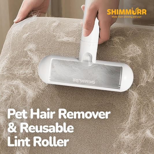 Reusable Pet Hair Remover - Lint Roller for Dog & Cat Fur - for Furniture, Carpet, Clothing - Detachable Handle (White)