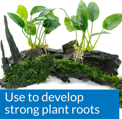 API ROOT TABS Freshwater Aquarium Plant Fertilizer 0.4-Ounce 10-Count Box