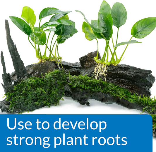 API ROOT TABS Freshwater Aquarium Plant Fertilizer 0.4-Ounce 10-Count Box