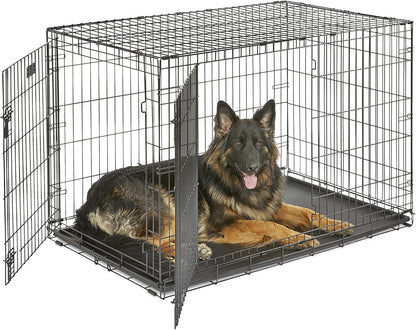 MidWest Homes for Pets 48-Inch Two-Door iCrate Folding Dog Crate with Divider Panel, Leak-Proof Tray & Secure Latches – Metal Wire Kennel for XL Breeds – Portable, Durable & Easy to Assemble