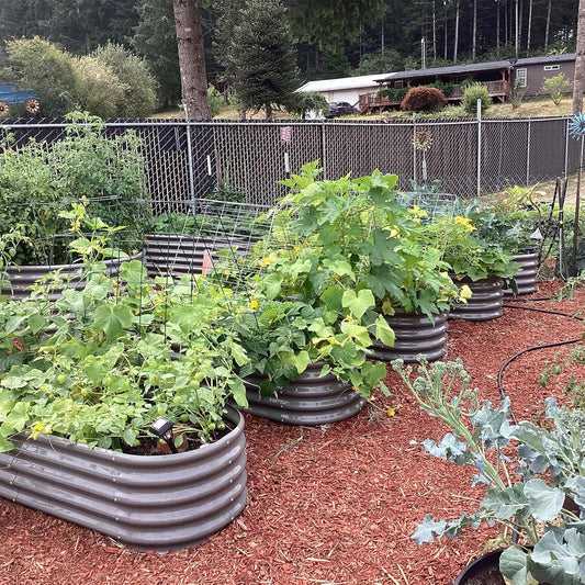 A ANLEOLIFE 6X2X1.5 ft Galvanized Raised Garden Beds Outdoor, Oval Round Metal Planter Box for Planting Vegetables Flowers Herb, Anti-Rust & Easy-Setup, Quartz Grey