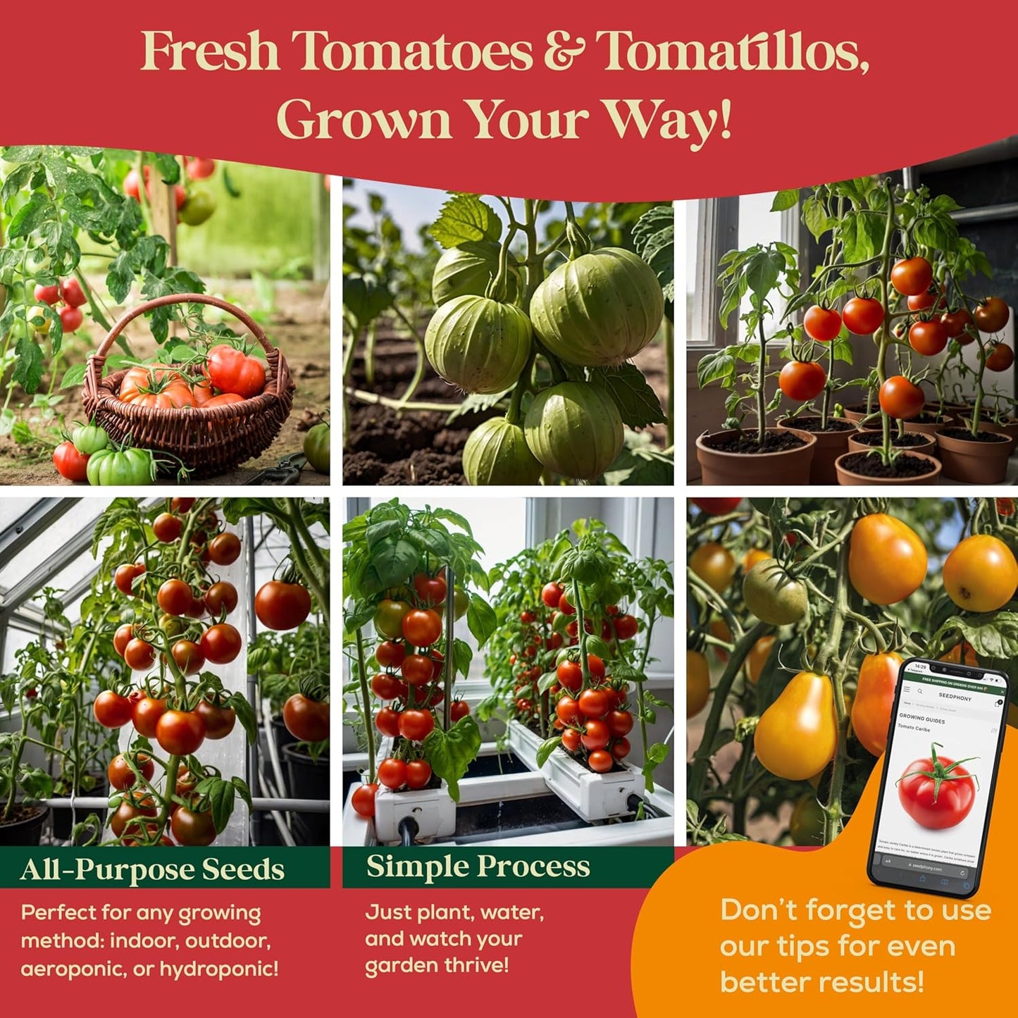 14 Tomatillo & Tomato Seeds for Planting Variety Pack - 990+ Non-GMO Heirloom Vegetable Seeds for Growing Tomato Indoor & Outdoor: Cape Gooseberry, Cherry, Flame, Roma, Beefsteak Tomatoes
