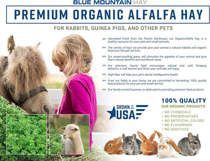 Blue Mountain Hay High-Altitude Hay - Organic Alfalfa, 5lb - High Protein, Fiber & Mineral-Rich - Soft, Leafy, High Leaf Retention - Ideal for Goats, Rabbits, Guinea Pigs & Other Small Animals