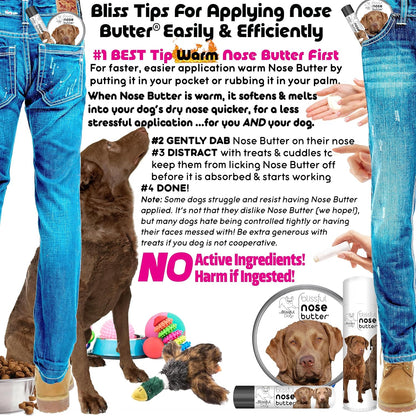 The Blissful Dog Chesapeake Bay Retriever Unscented Nose Butter, 2-Ounce