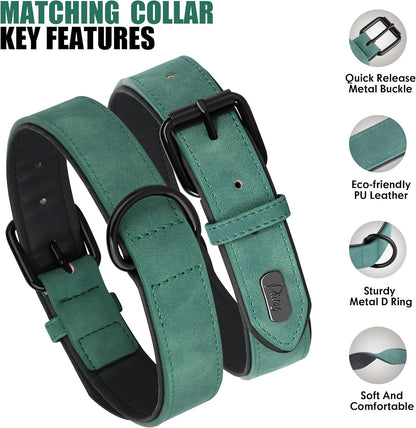 Didog Soft Padded Leather Dog Collar and Leash Set, Adjustable and Breathable Pet Collars with 4FT PU Leather Dog Leash for Small Medium Large Dogs, Green, XL