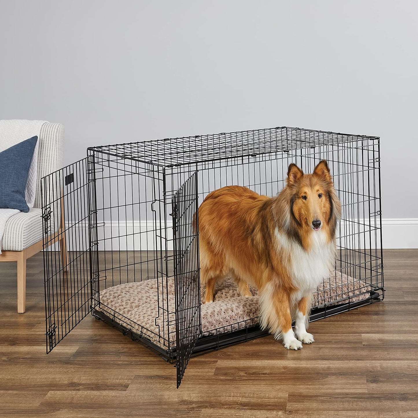 MidWest Homes for Pets 48-Inch Two-Door iCrate Folding Dog Crate with Divider Panel, Leak-Proof Tray & Secure Latches – Metal Wire Kennel for XL Breeds – Portable, Durable & Easy to Assemble