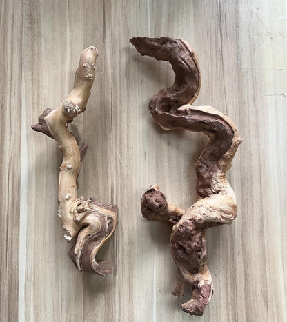 Small Natural Driftwood for Aquarium Styling Carefully Selected Natural Aquarium Decor Driftwood for Reptile Tank Reptile Tank Wood Decor (2pcs grapewood Branch 10-12inch)