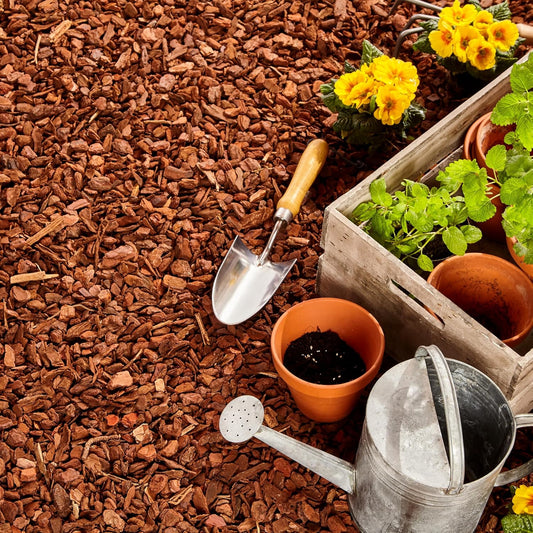 Premium Pine Bark Nuggets – Pine Bark Mulch for Gardens, Landscaping, Potted Plants, and Wood Chips for Garden Beds (1.3 CF - 37 L - 39 QTS)