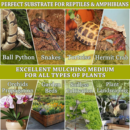 ZeeDix 6PCS Natural Coconut Chips Substrate for Reptiles, Coconut Fiber Husk Reptiles Bedding, Compressed Coco Chips Substrate for Ball Python, Snakes, Tortoise, Hermit Crab, Frogs, Lizard, Tarantula