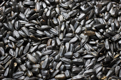 Flying Colors Premium Organic Wild Bird Seed | Black Oil Sunflower Seed | USDA Organic Ingredients | Best Seed for Backyard Bird Feeders | 3 Gallon Easy-Pour Carton