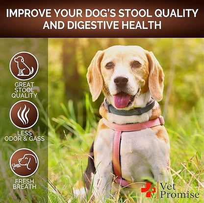 Vet Promise Super Poop Probiotics for Dogs - Dog Stool Softener - Fiber for Dogs Supplement - 6 Probiotics and Digestive Enzymes - Healthy Gut - Perfect for Firm Stool & Diarrhea Relief - 120 Chews