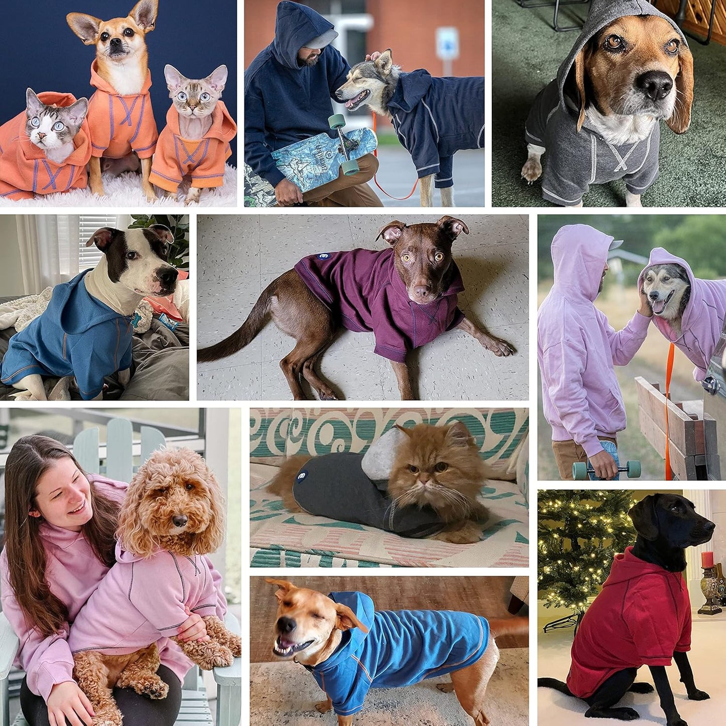 Blueberry Pet Essentials Dog Hoodie – 10 inch, Cotton‑Blend Sweatshirt with Hood, Coral, Machine‑Washable Small‑Dog Jersey