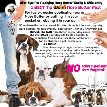 The Blissful Dog Show Boxer Nose Butter for Dry, Cracked Skin, Lick-Safe Dog Nose Balm with Moisturizing Shea Butter, Almond, Olive, and Essential Oils, Pet Supplies, Uncented, 8 oz.
