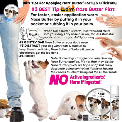 The Blissful Dog Jack Russell Terrier Nose Butter for Dry, Cracked Skin, Lick-Safe Dog Nose Balm with Moisturizing Shea Butter, Almond, Olive, and Essential Oils, Pet Supplies, Uncented, 1 oz.