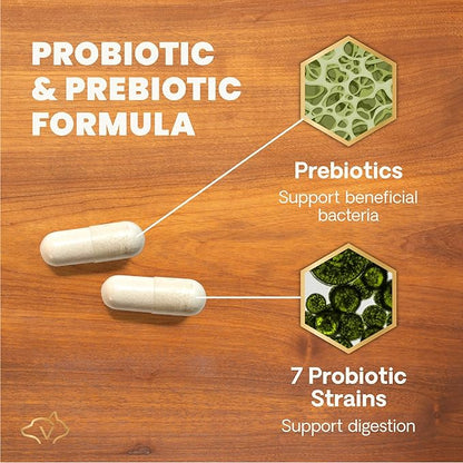 VetriScience Extra Strength Gut Health Probiotic & Prebiotic Digestive Supplements for Dogs & Cats, Gas & Diarrhea & Immune Support, Easy-Open Capsules, 180 Count - New Look