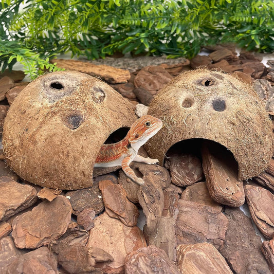 PINVNBY Natural Coconut Reptile Hideouts Lizard, Coco Hut Hermit Crab Hut Aquarium Fish Hide Cave for Small Reptile Crested Gecko Leopard Gecko Spider Snail Climber Toys (2 PCS Natural Surface)