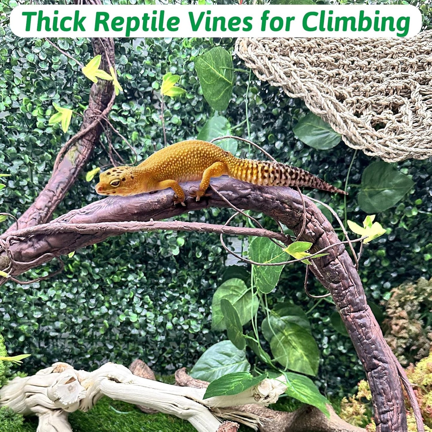 VCEPJH Extra Large Reptile Vines Thick Terrarium Plants 78 Inches Long Flexible Climbing Branch with Leaves Snake Tank Accessories Greenery Habitat Decor for Bearded Dragon Chameleon Gecko Lizard