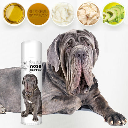 The Blissful Dog Neapolitan Mastiff Nose Butter for Dry, Cracked Skin, Lick-Safe Dog Nose Balm with Moisturizing Shea Butter, Almond, Olive, and Essential Oils, Pet Supplies, Uncented, 0.50 oz.