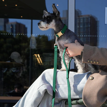 PET ARTIST Soft PU Leather Dog Collar, Bright Color & Durable Dog Collar Leather with Rose Gold Quick Release Metal Buckle, Adjustable Nylon Padded Pet Collars for Large Dogs, Neck Fit 16-27"