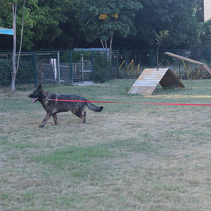 Dog/Puppy Obedience Recall Training Agility Lead - 15ft 20ft 30ft 40ft 50ft Training Leash - Great for Play, Camping, or Backyard (Brown, 30 Feet)