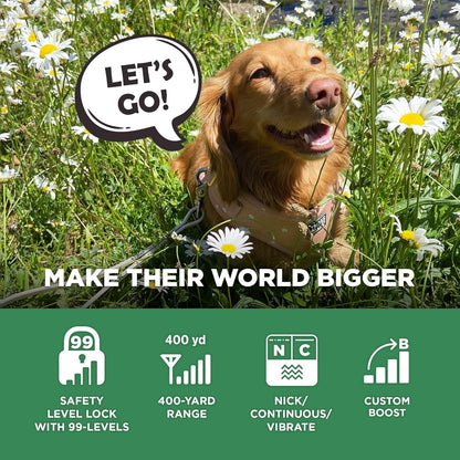 Dogtra CUE Gen 2 Tan – Customizable E-Collar for Dogs Training Collar with Remote – Easy, Safe, Beginner-Friendly Design – 99 Levels, Vibration, Boost, Waterproof, Rechargeable, 400-Yard Range