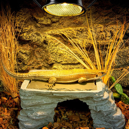 REPTI ZOO G9 Reptile Heat Lamp Bulb & Reptile Light Fixture with Safety Mesh Kit, 50W UVA Basking Light Fixture for Bearded Dragon Gecko Lizard Turtle Snake Chicken, Low Profile Warm White Heat Bulb