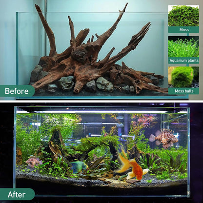 WDEFUN Natural Driftwood for Aquarium Decor, 10-Piece 2''-5'' Small Driftwood for Decorations on Fish Tank, Reptiles Bearded Dragon Accessories or Air Plants