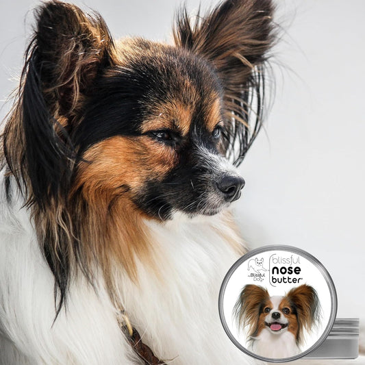 The Blissful Dog Papillon Unscented Nose Butter - Dog Nose Butter, 2 Ounce