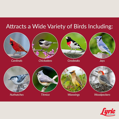 Lyric Fruit and Nut Wild Bird Seed - High Energy Wild Bird Food Mix - Attracts Woodpeckers, Chickadees & Other Songbirds - 10 lb. (pack of 2 - 5 lb bags)