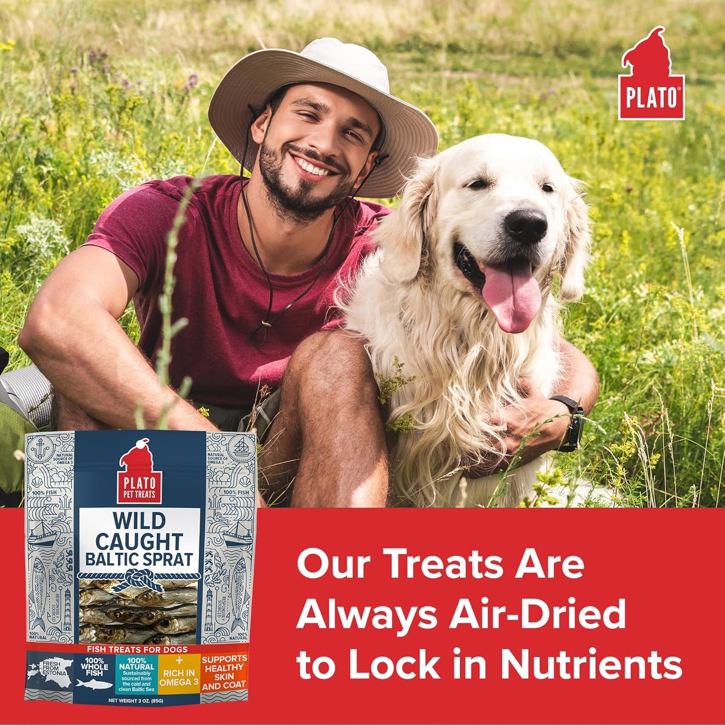 PLATO Pet Treats Fish Dog Treats - Air-Dried, Single Ingredient Dog Treat - with Omega 3 & 6 Fatty Acids to Support Skin and Coat - 100% Whole Fish - Wild Caught Baltic Sprat Dog Treats - 7.5 oz