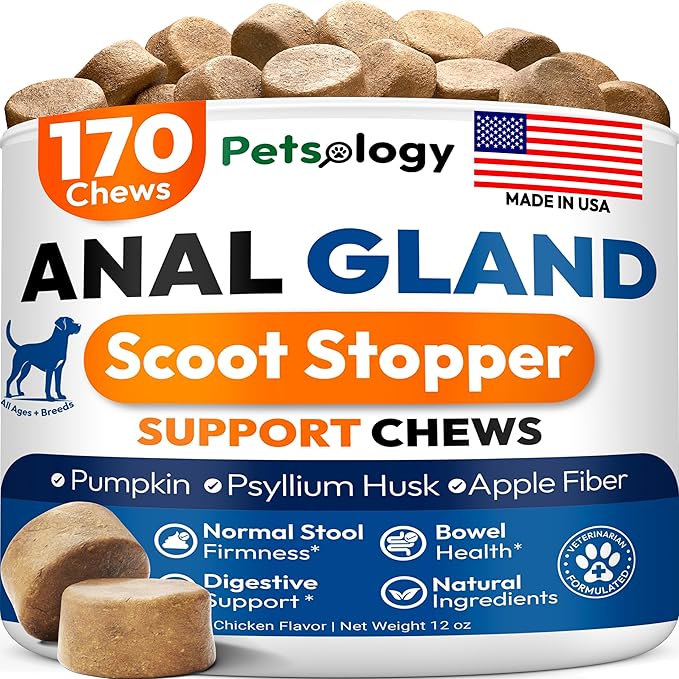 Anal Gland Support Chews for Dogs - 170 Ct - Scoot Treatment - Dog Anal Gland Supplement - Pumpkin, Psyllium Husk, Fiber - Supports Gut Health & Stool Quality - Digestive Enzymes - Made in USA