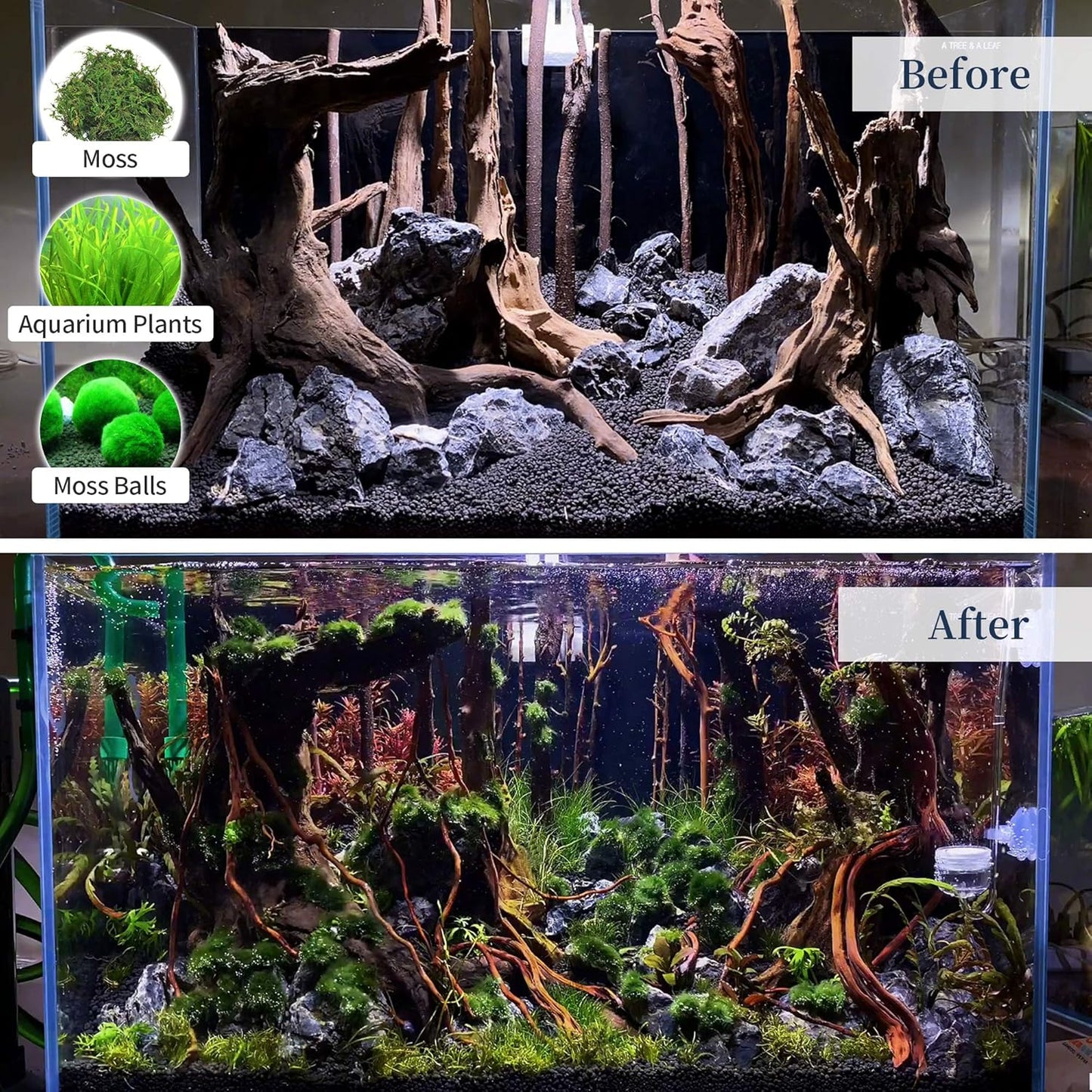 majoywoo Natural Large Driftwood for Aquarium Decor Reptile Decor, Fewer Branches 12.5-18" 2Pcs