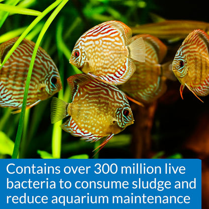 API STRESS ZYME Freshwater and Saltwater Aquarium Cleaning Solution 1-Ounce Bottle