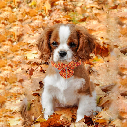 Lionet Paws Dog Collar with Bowtie - Cute Cotton Adjustable Fall Bowtie Dog Collar with Metal Buckle for Small Medium Large Dog Girl Boy Gift, S, Neck 10-16in