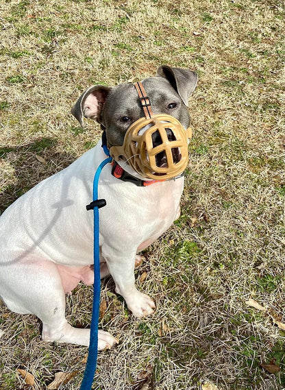 Mayerzon Dog Muzzle, Breathable Basket Muzzles for Small, Medium, Large and X-Large Aggressive Dogs Beagle German Shepherd Doberman, Cage Mouth Guard Stop Biting Chewing for Grooming Training