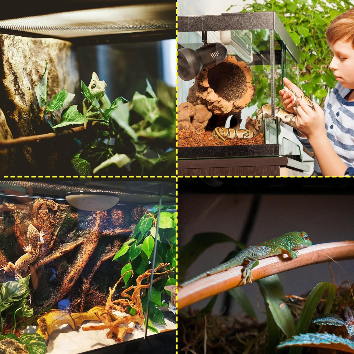 10 Gallon Professional Glass Terrarium 12"x12"x18" Durable Reptile Habitat Tank with Heat Resistant Aluminum Alloy Frame, Dual Front Swinging Doors for no Jam by Sand and Other Debris - Pawvie