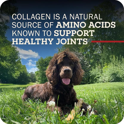 Redbarn Pet Products Natural Large Collagen Sticks for Dogs - Long Lasting Alternative to Traditional Rawhide & Bully - Supports Joint, Skin, & Coat Health - Case of 35