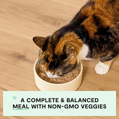 Open Farm Canned Kitten Food, Paté for Complete & Balanced Nutrition, Grain-Free and Legume-Free Wet Kitten Food, Chicken & Salmon Recipe, 2.8oz Cans (Case of 18)